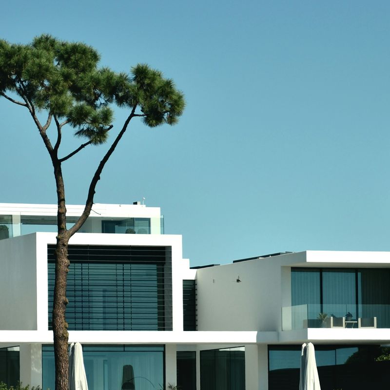 Ảnh minh hoạ công trình villa màu trắng với cây xanh.